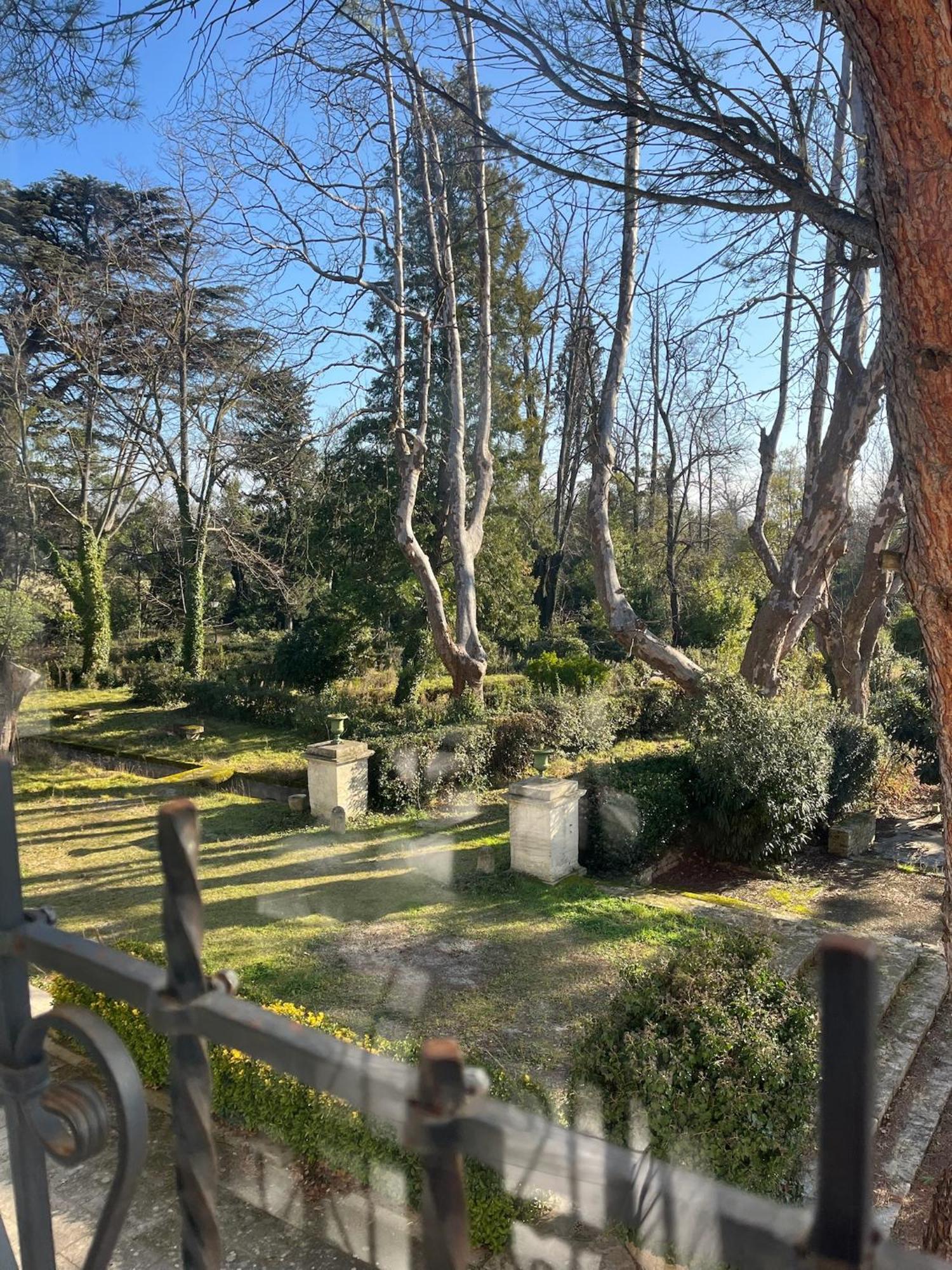 Mas Provencal Luxe - Piscine Et Parc Classe *